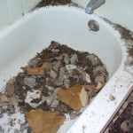 The Aftermath of a Ceiling Collapse