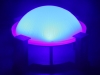 Blue Cap Setting